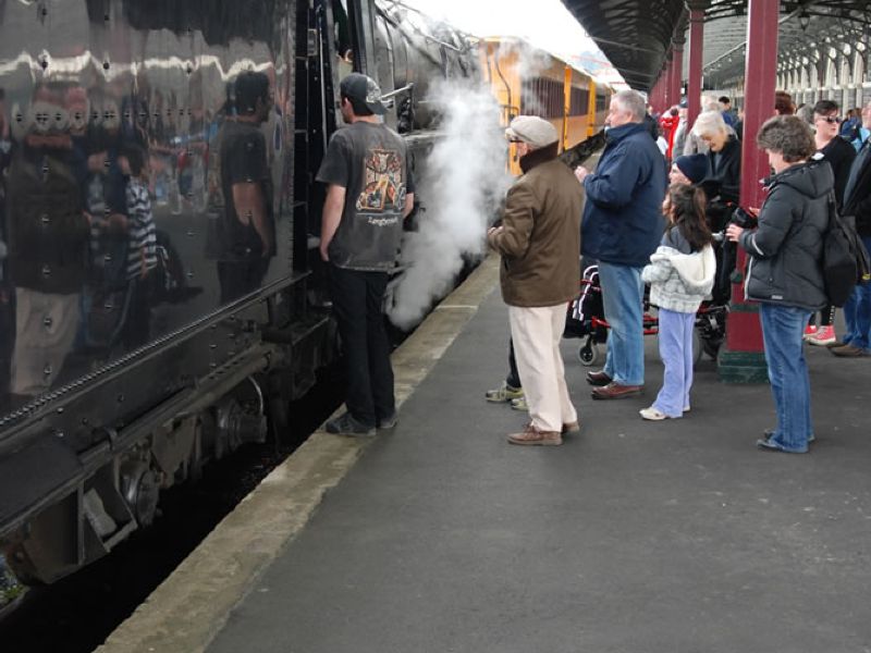 Dunedin Steam Festival 